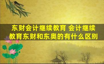 东财会计继续教育 会计继续教育东财和东奥的有什么区别